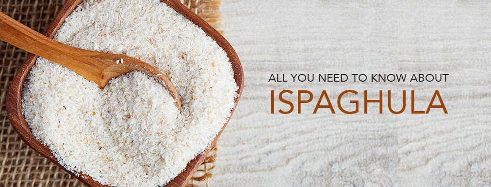 All You Need to Know About Ispaghula